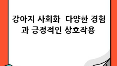 우리 강아지, 행복 훈련 가이드
