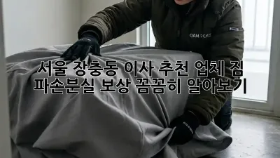 서울 장충동 이사 추천 업체: 짐 파손/분실 보상 꼼꼼히 알아보기