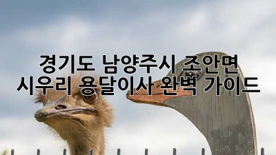 경기도 남양주시 조안면 시우리 용달이사 완벽 가이드